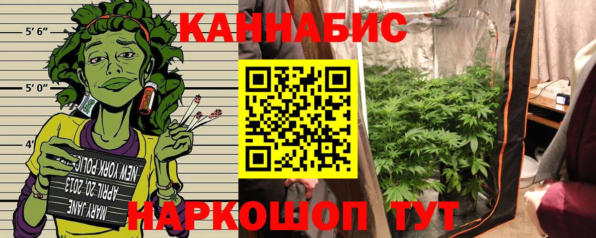 Муром  Канабис марихуана  МАРИХУАНА Bruce Banner  Вход с VPN  Конопля конопля 